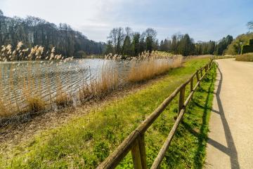 Les étangs de Boitsfort, écrins de nature : Grand étang, Domaine des Silex et étang du parc Tournay-Solvay.